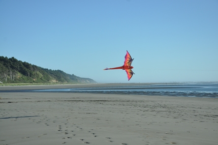 Pacific Beach kite