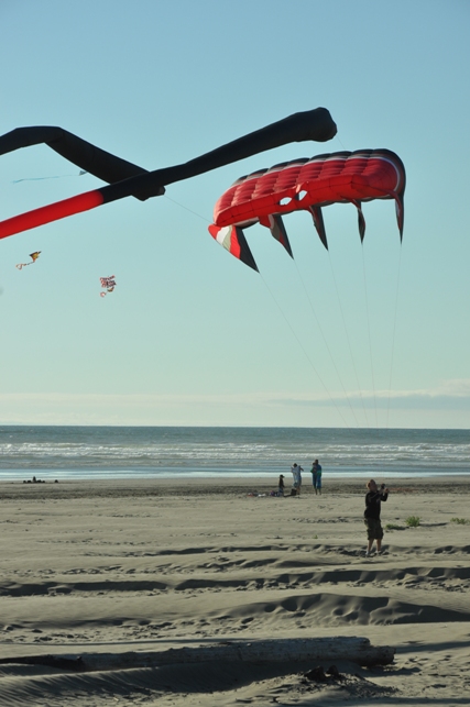 kite festival