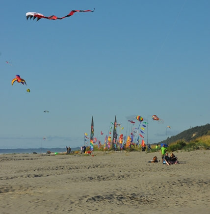 kite festival