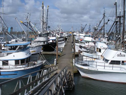 Boats in Westport