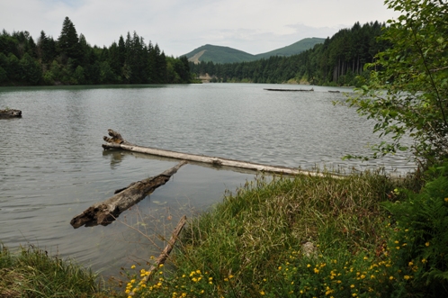 Lake Scanewa