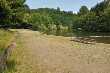 Ike Kinswa State Park