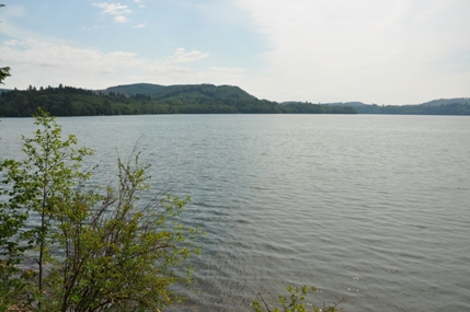 mayfield lake