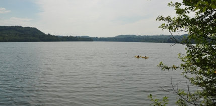 mayfield lake