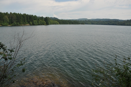 mayfield lake