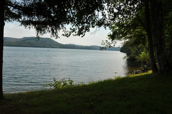 mayfield lake