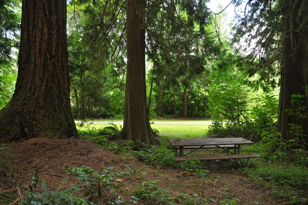 picnic area