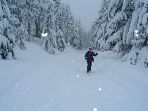 Mount Tahoma Ski Trails