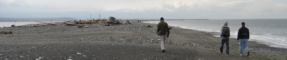 Dungeness Coast hike