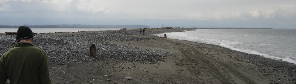 The Dungeness Spit