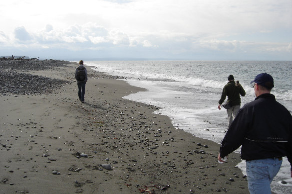 Dungeness Spit Hike