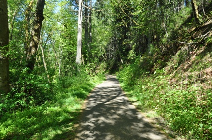 dupont trails