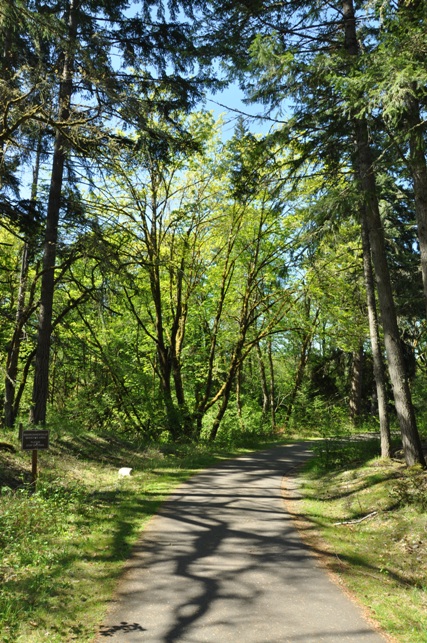 Sequalitchew Creek Trail