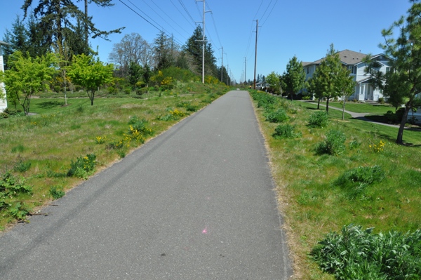 Palisades Village Connector Trail