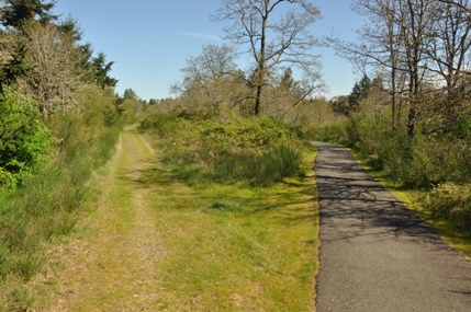 sellers park path