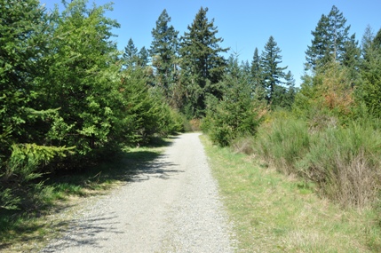 Sequalitchew Creek Trail
