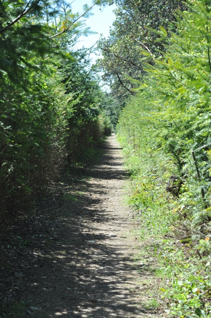 Wilkes Observatory Trail 