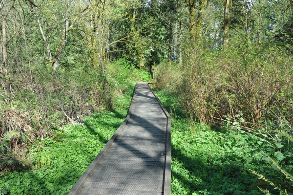 Nelson Nature Park