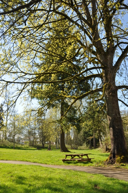 Nelson Nature Park