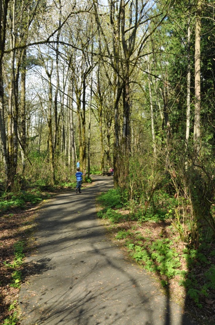 Nelson Nature Park