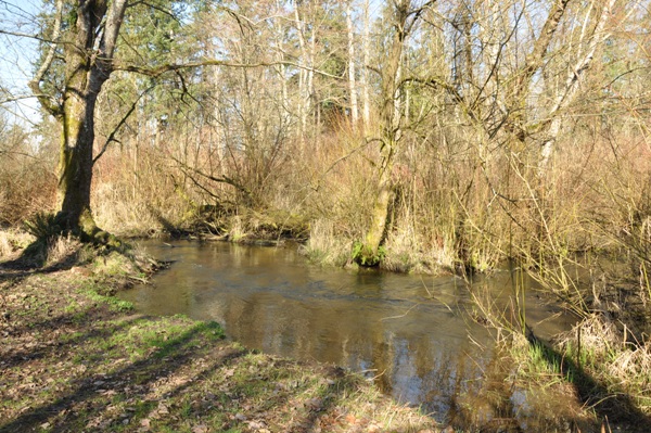 Newaukum Creek