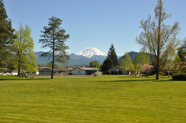 Mount Rainier 