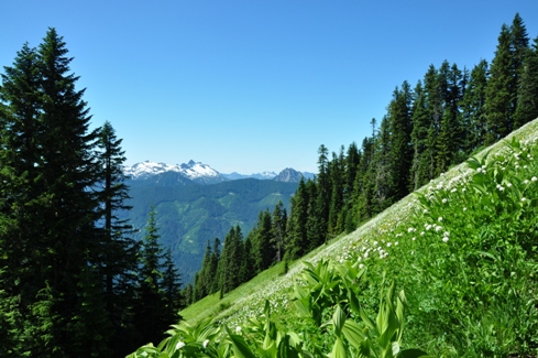 Evergreen Mountain Trail