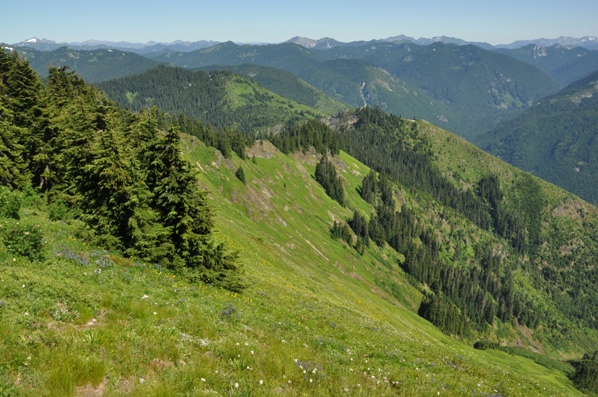 slopes of Evergreen Mountain