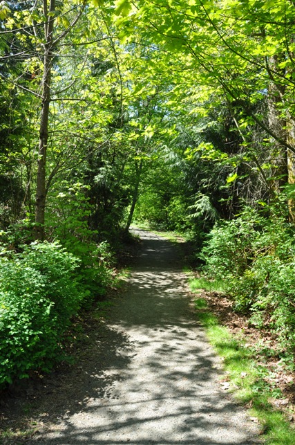 nature trails