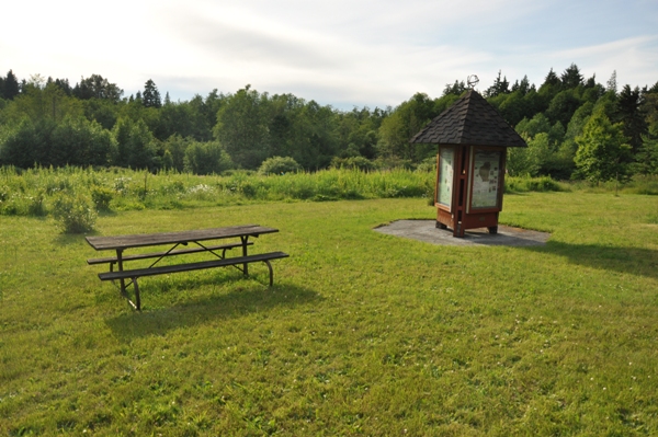 Hylebos Blueberry Park