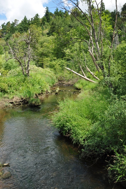 Hylebos creek