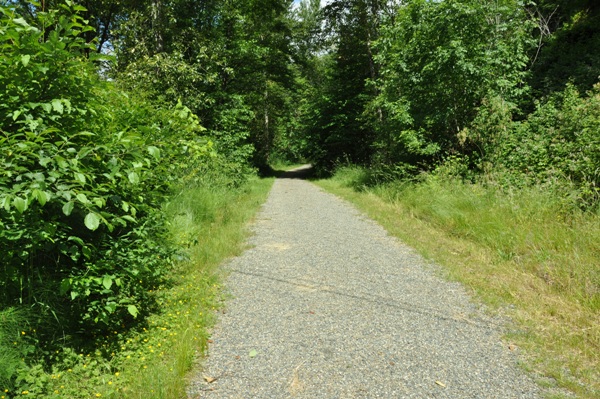 Hylebos Nature Area