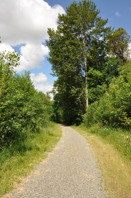 Hylebos Nature Area