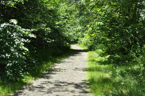 Hylebos trail