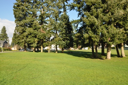 fircrest park