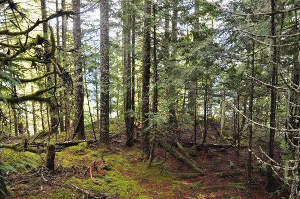 Baker Point lookout site