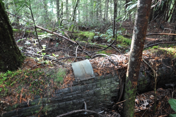 baker point timbers