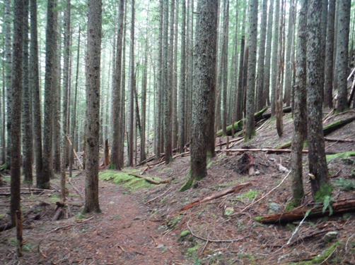 barlow point trail