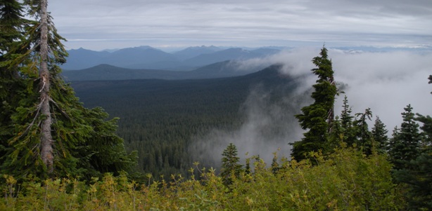 Bird Mountain view