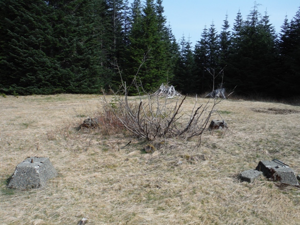 carbon ridge lookout footings