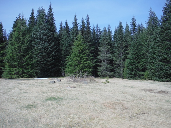 carbon ridge lookout