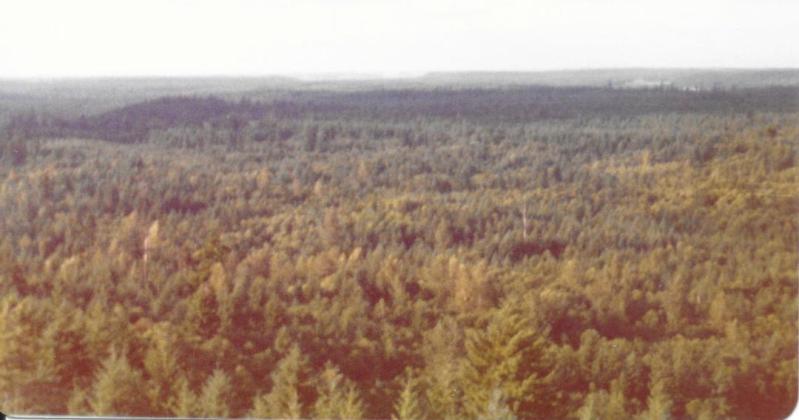 Deschutes Lookout