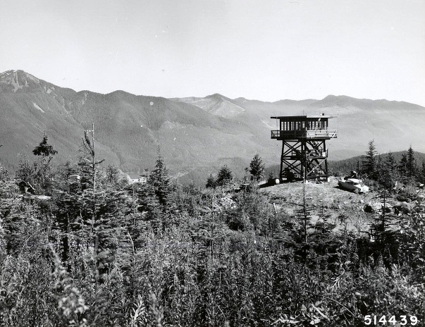 dillard point lookout