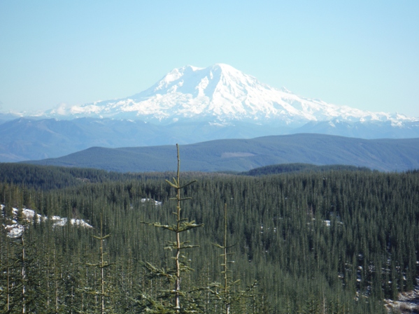 Mount Adams 