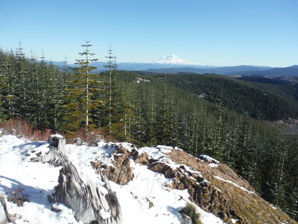 Mount Rainier 