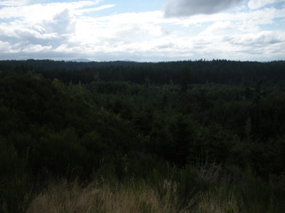 Flander Lake Lookout