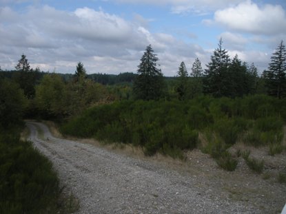 Flander Lake Lookout