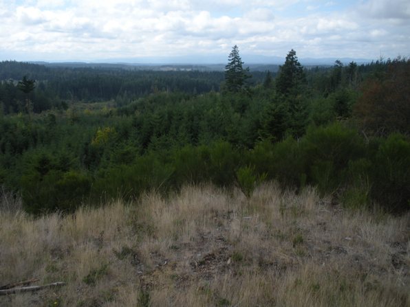 Flander Lake Lookout