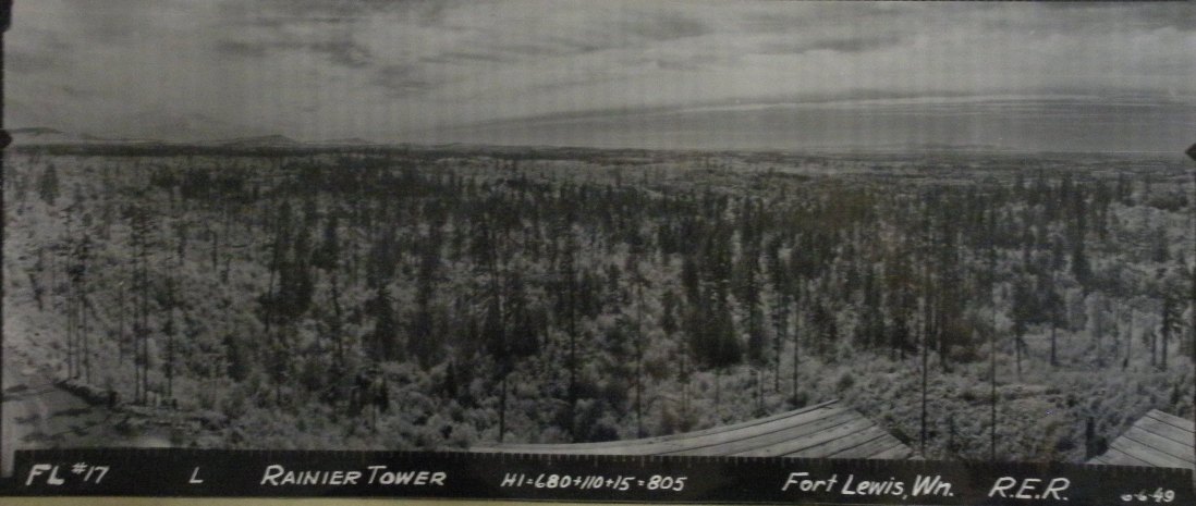 Rainier Lookout