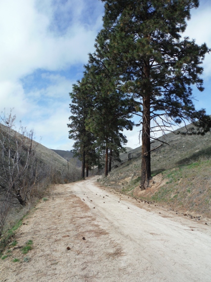 Oklahoma Gulch 